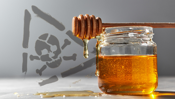Never Cook Raw Honey [Updated for 2024]