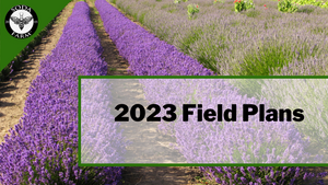 2023 Field Plans