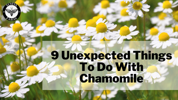 9 Unexpected Things to Do With Chamomile