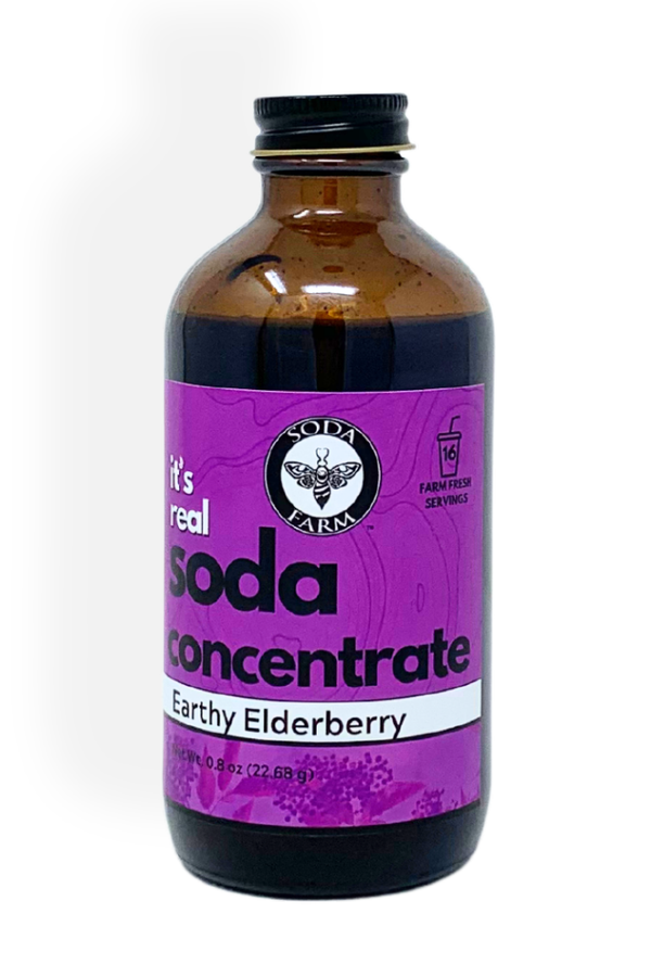 Earthy Elderberry Soda Concentrate