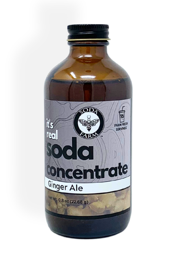 Ginger Ale Soda Concentrate