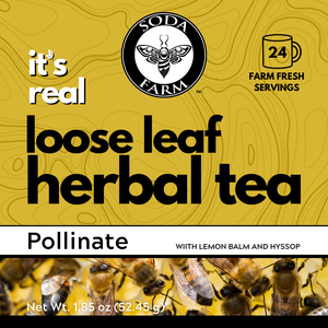 Pollinate Tea Front