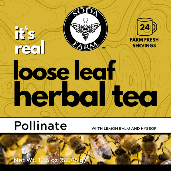 Pollinate Tea Front