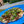 Wood-fired Pizza